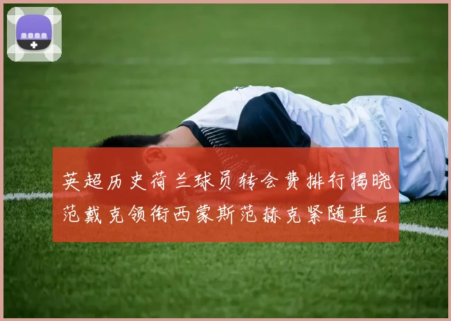 英超历史荷兰球员转会费排行揭晓范戴克领衔西蒙斯范赫克紧随其后